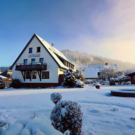 Landhaus Stremme Willingen (Upland) Exterior foto