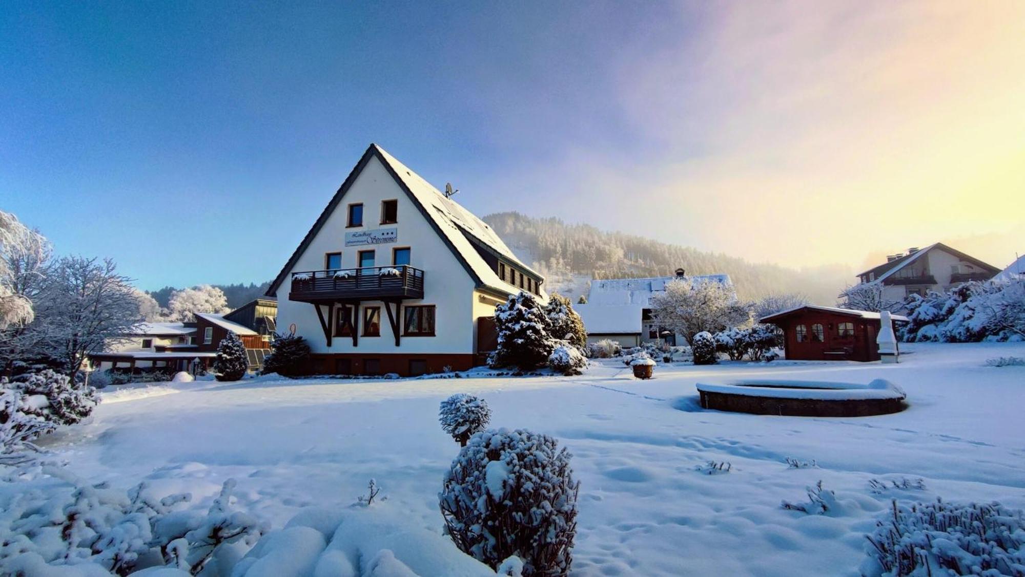 Landhaus Stremme Willingen (Upland) Exterior foto