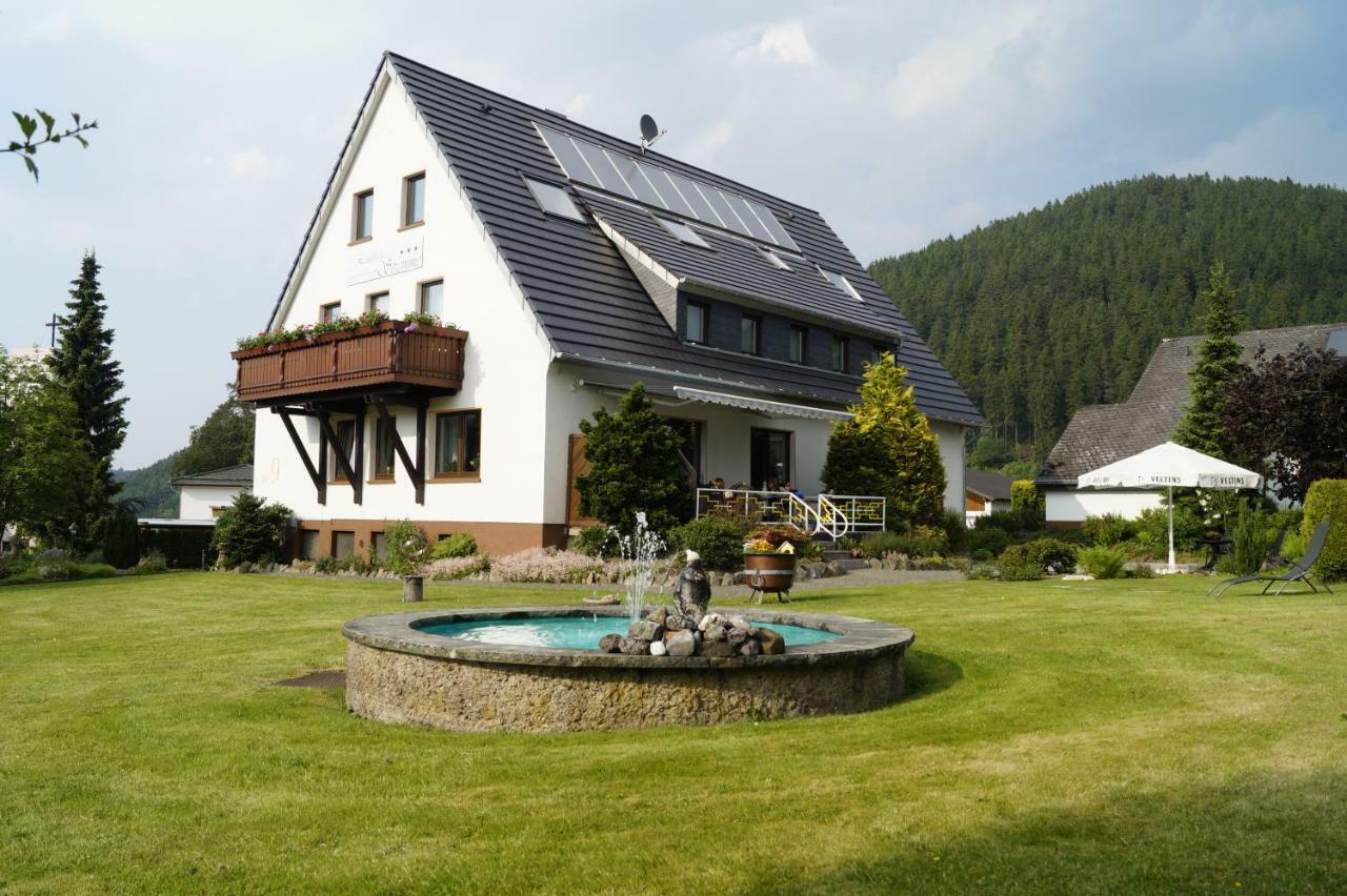 Landhaus Stremme Willingen (Upland) Exterior foto