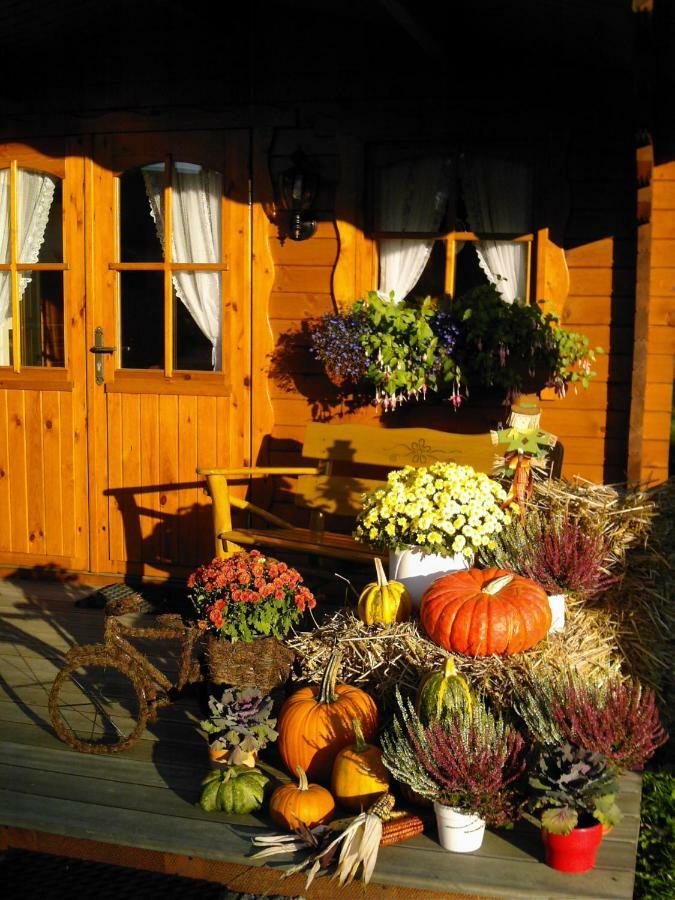 Landhaus Stremme Willingen (Upland) Exterior foto